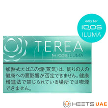 Heets TEREA Mint for IQOS ILUMA
