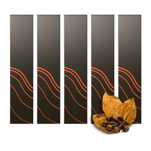 Terea Auburn edition (Indonesia) For IQOS ILUMA